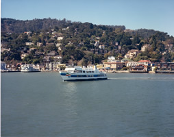 golden gate
